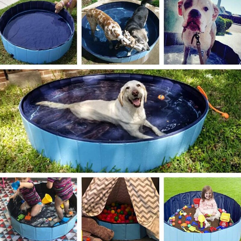 Swimming Pool or Bath for Pets