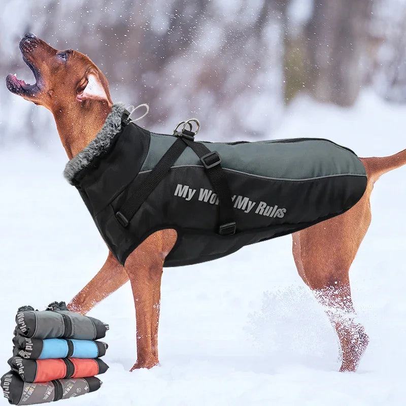 Waterproof Jacket and Harness For Dogs