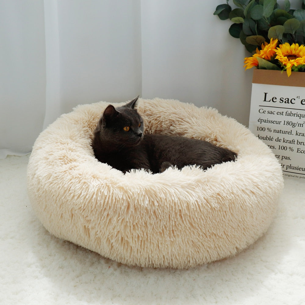 Cat Bed