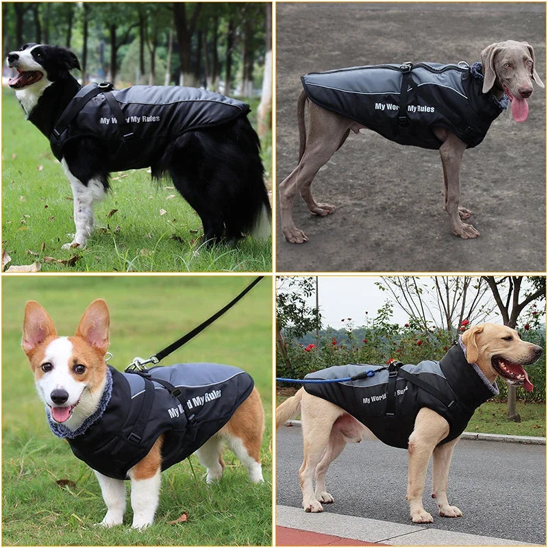 Waterproof Jacket and Harness For Dogs