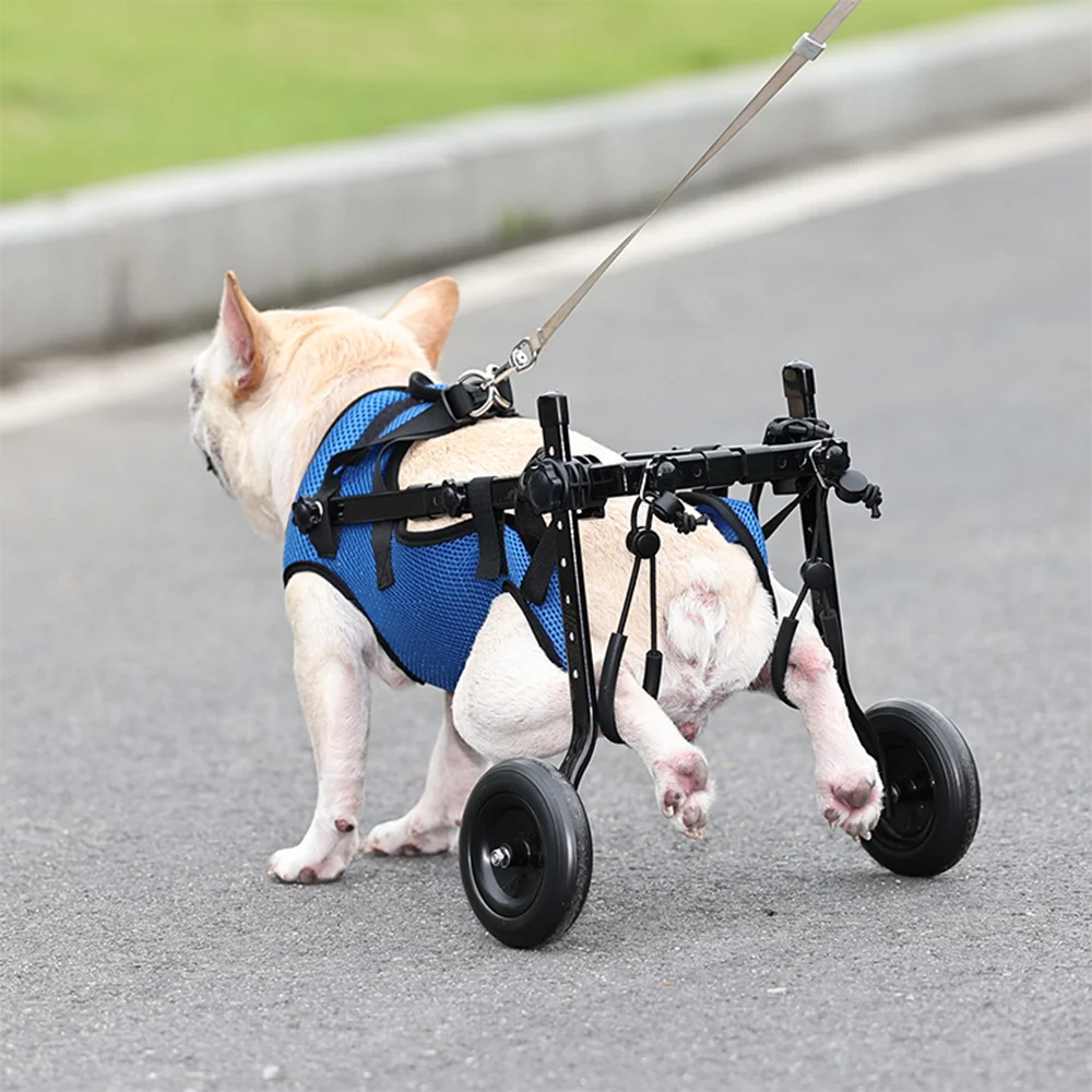 Wheelchair For Dogs