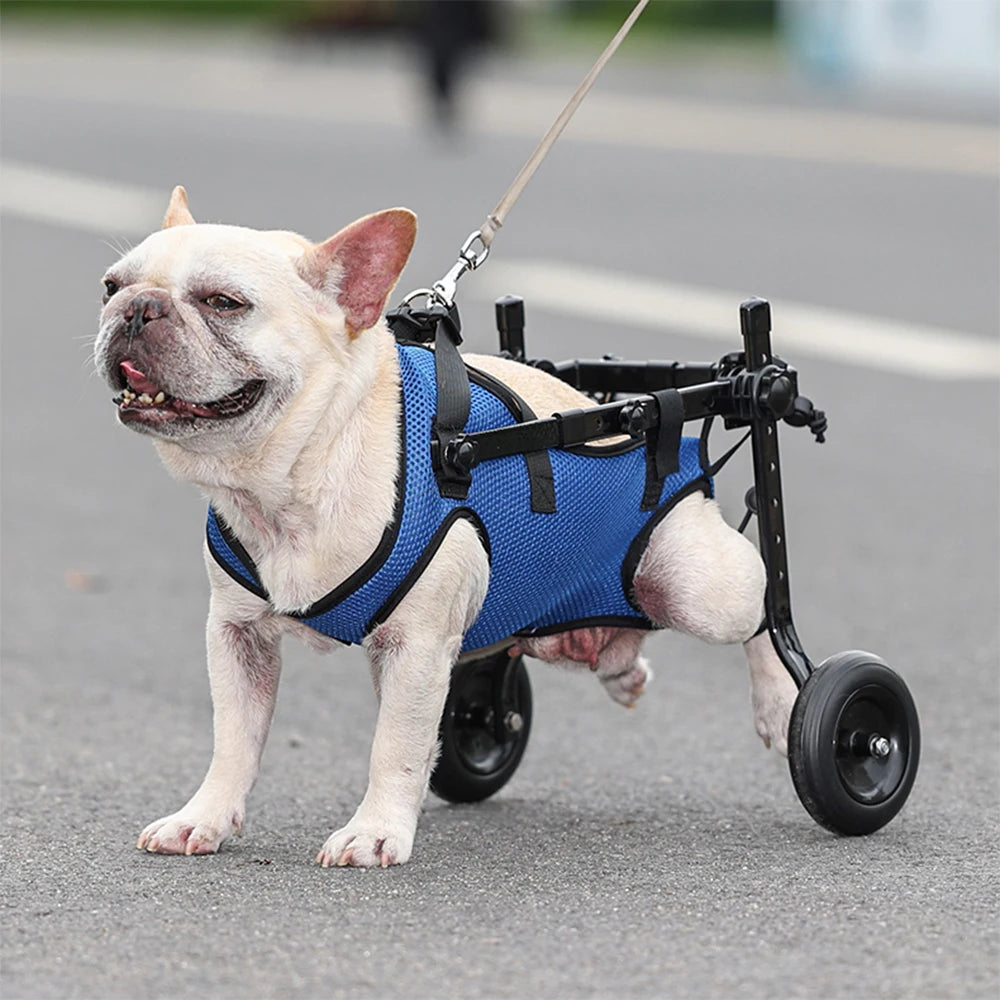 Wheelchair For Dogs